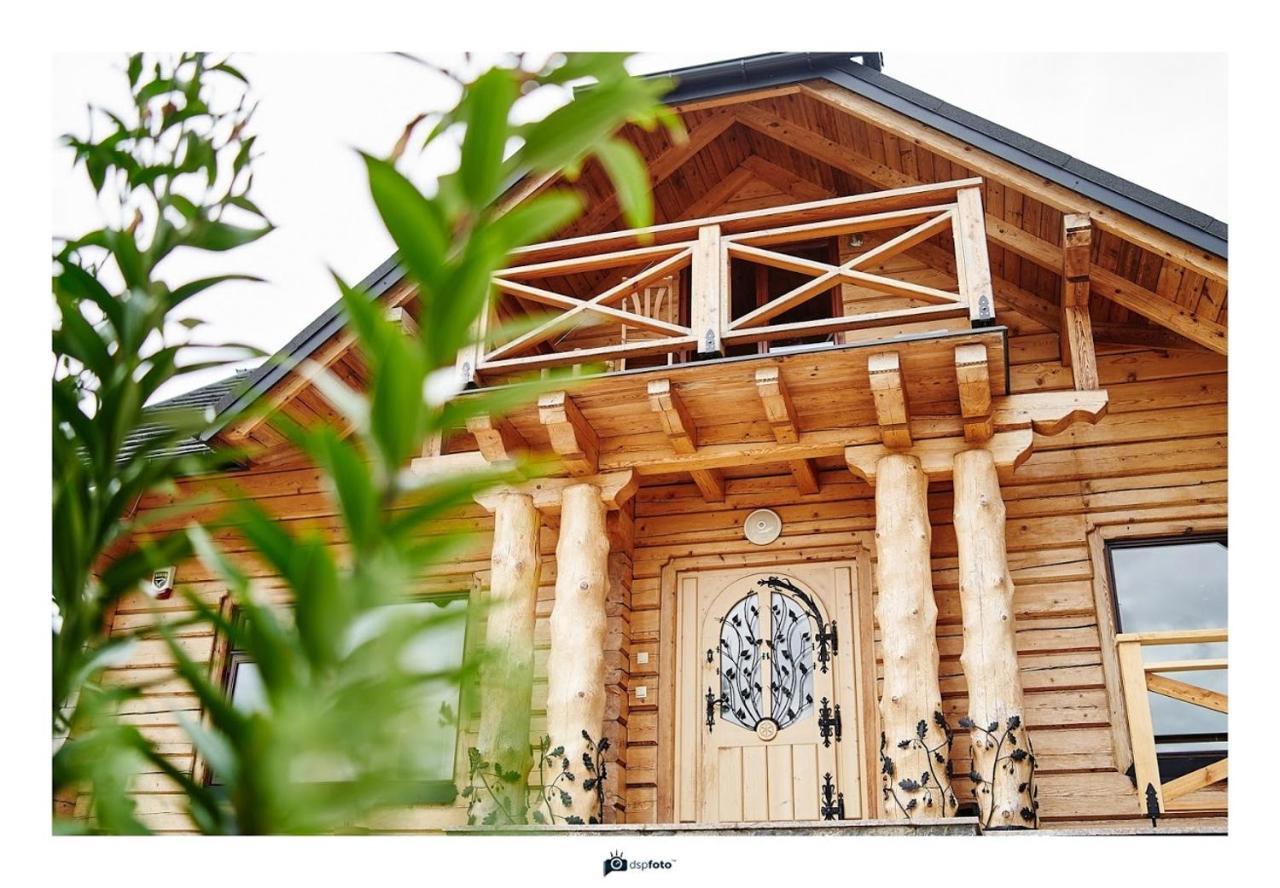 Villa Borysowka Kopanica Exterior foto